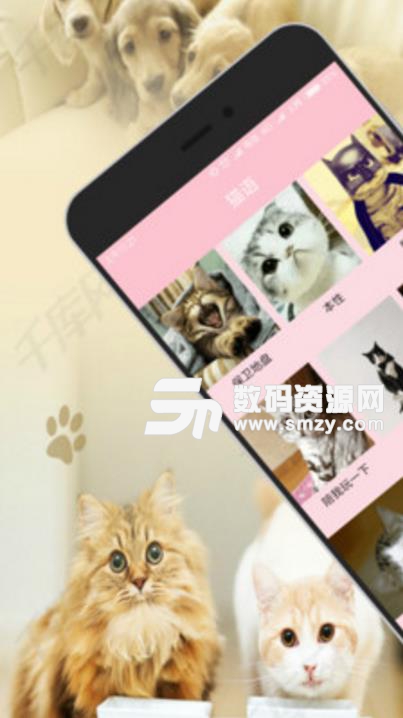狗语专家最新app(了解您爱犬的喜好) v1.8.7 安卓版