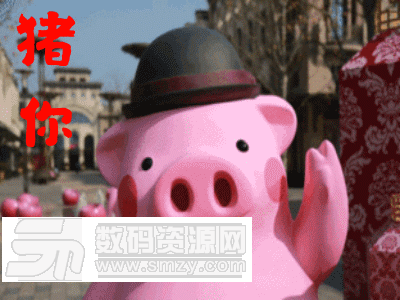 2019猪年元宵节动态表情包下载