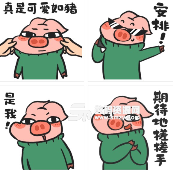 小豬羅記表情包