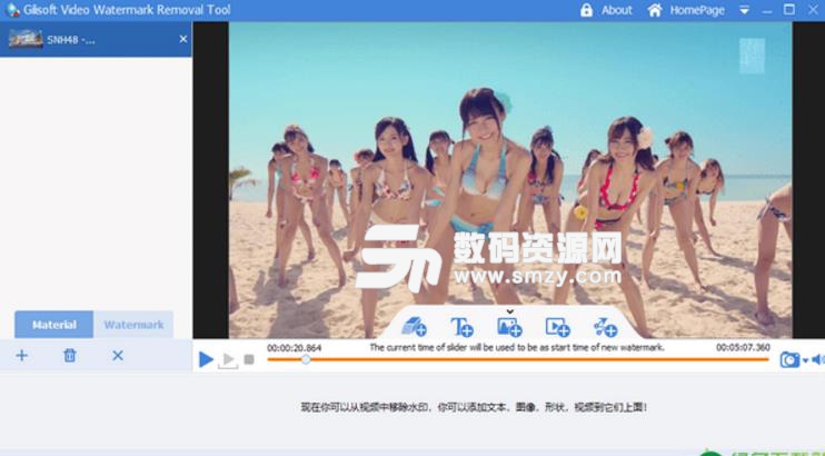 Video Watermark Removal Tool中文版