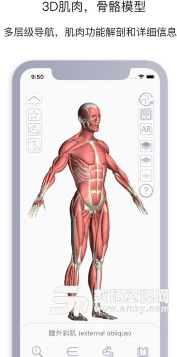 运动解剖苹果版(AR解剖图谱) v1.3 ios版