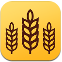 金麦浏览器手机版(超强的搜索引擎) v8.4.1.18 安卓版