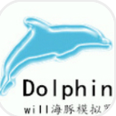 海豚Wii模拟器