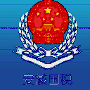 安徽国税appv1.1.0 安卓版