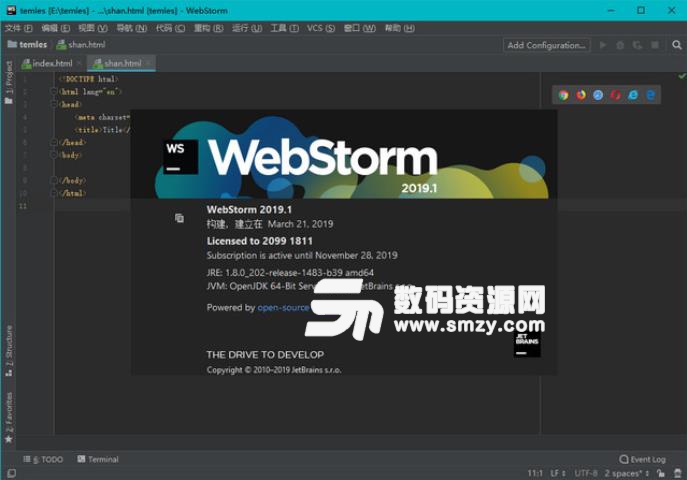 Webstorm2019中文補丁