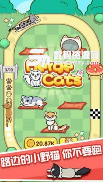 跑跑云养猫手游安卓版(Merge Cats) v0.6 手机版