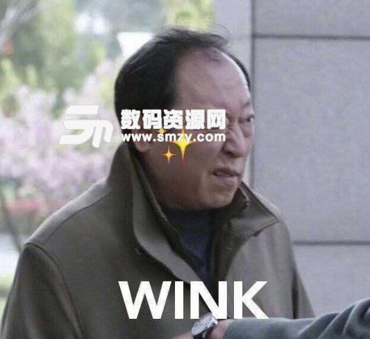 wink杀表情