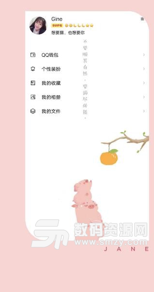 小猪猪qq美化包APPv8.4 安卓版