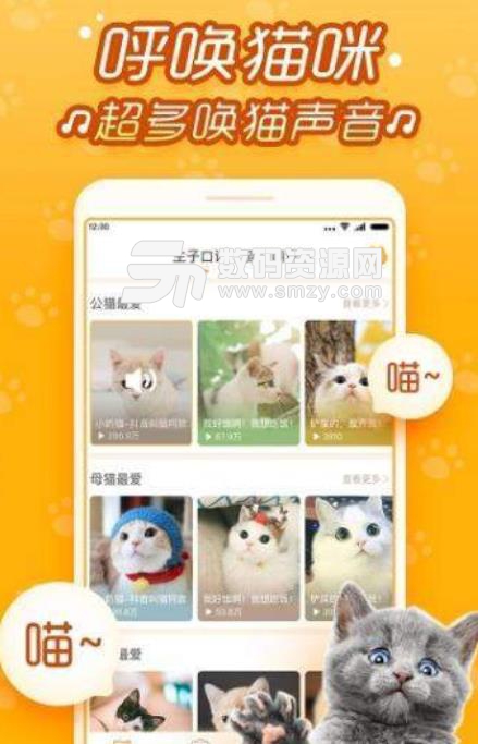 逗猫咪app(宠物猫咪社区) v6.9.6.1 安卓版