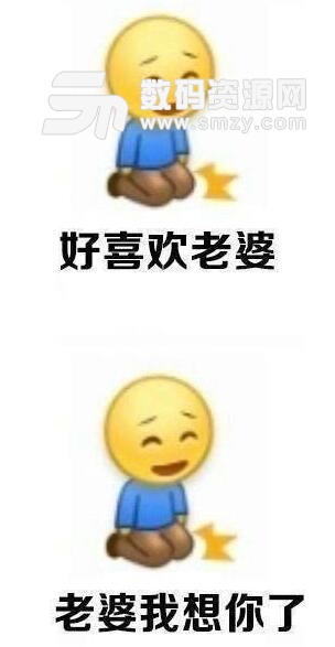 小黄脸给老婆下跪表情包