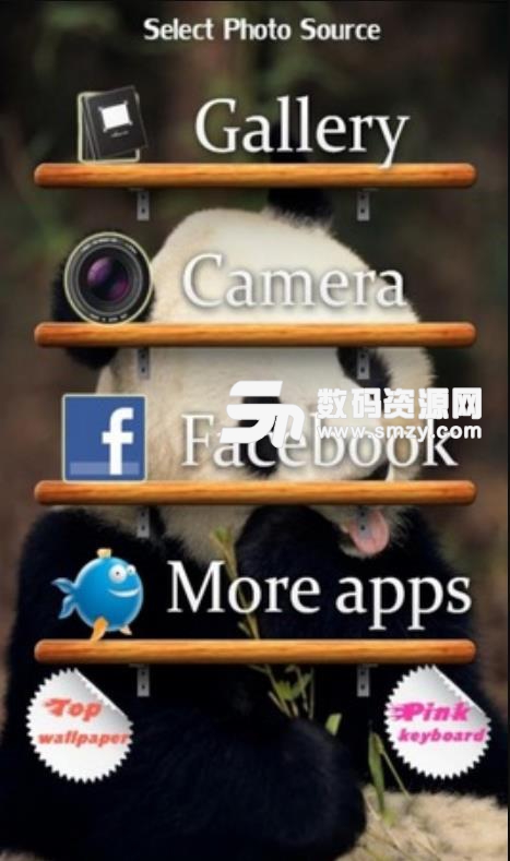 Panda Face安卓版(大熊猫换脸相机app) v1.4 手机版