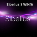 Avid Sibelius 2019汉化版