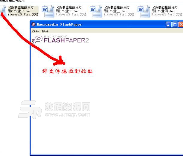 FlashPaper软件下载