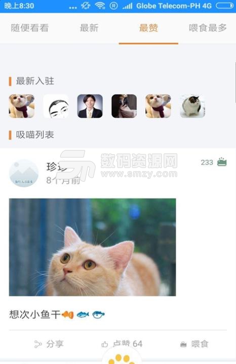 猫咪俱乐部手机客户端(养护知识) v1.3.1 安卓版