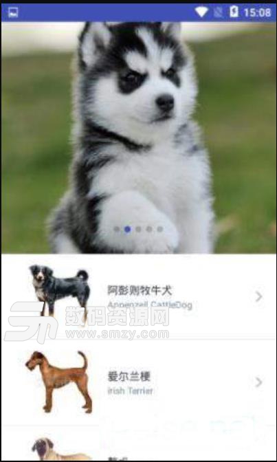 爱宠小窝app(可查阅各类狗狗品种信息) v8.0 安卓版
