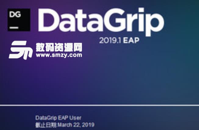 JetBrains DataGrip 2019汉化包下载