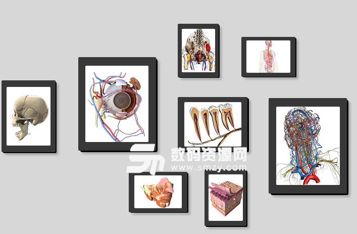 3Dbody手机最新版(三维人体解剖信息) v8.6.3 安卓版