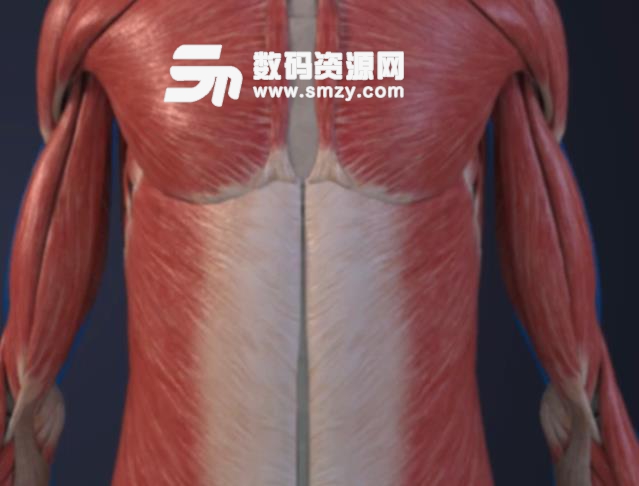 3Dbody手机最新版(三维人体解剖信息) v8.6.3 安卓版