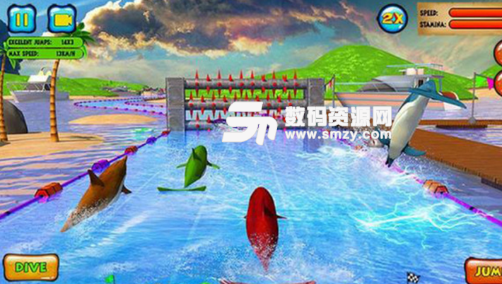 海豚比赛3D版v1.5 安卓版