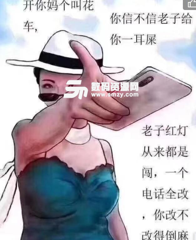 重庆保时捷女车主耳光警告表情包图片