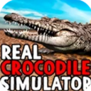真正的鳄鱼模拟器安卓版v1.1 手机版