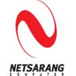 NetSarang AIO Keygen注册机官方版