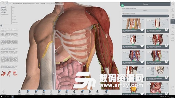 3D骨骼和器官官方版