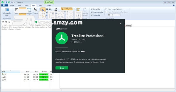 TreeSize Professional官方版