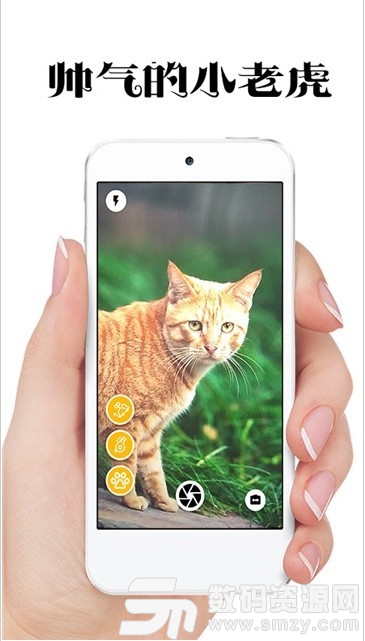 极简猫咪相机安卓版(摄影摄像) v1.1.5 免费版