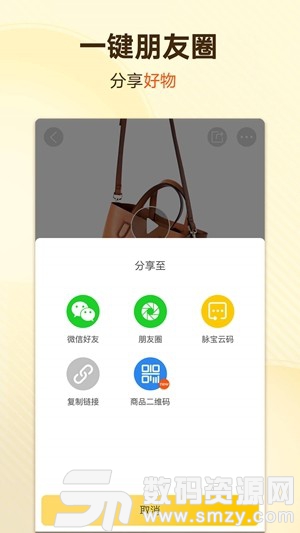 脉宝云店安卓版(网络购物) v3.2.2 手机版