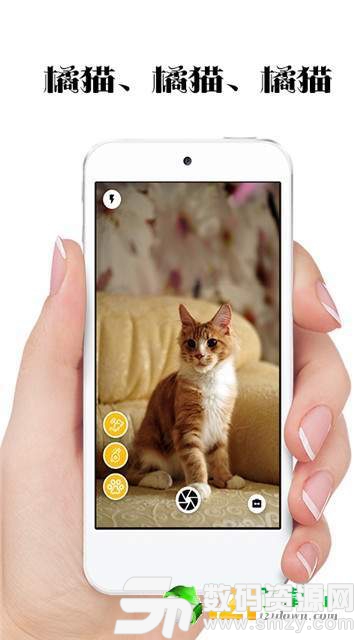 极简猫咪相机最新版(生活休闲) v1.1.5 安卓版