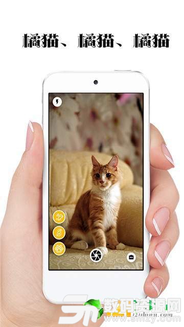 极简猫咪相机最新版(生活休闲) v1.2.5 安卓版
