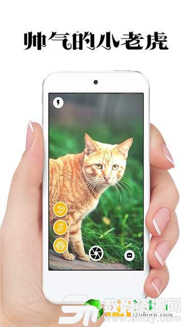 极简猫咪相机最新版(生活休闲) v1.2.5 安卓版