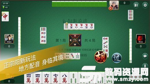 多多阳新麻将打供最新版(生活休闲) v1.2 安卓版