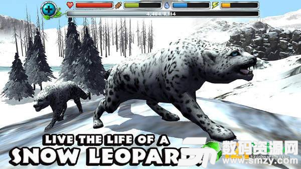 终极雪豹模拟器最新版(生活休闲) v1.3 安卓版