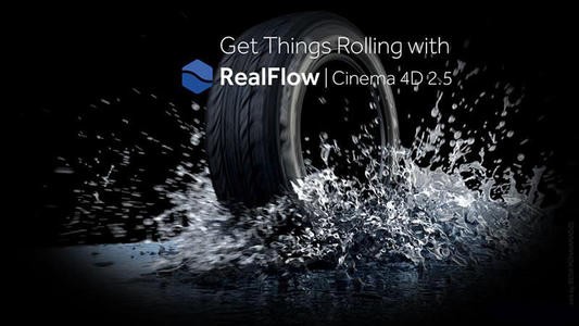 Realflow for win官方版