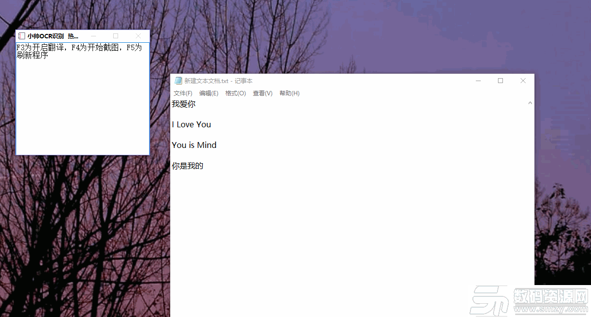 小帅OCR识别工具下载