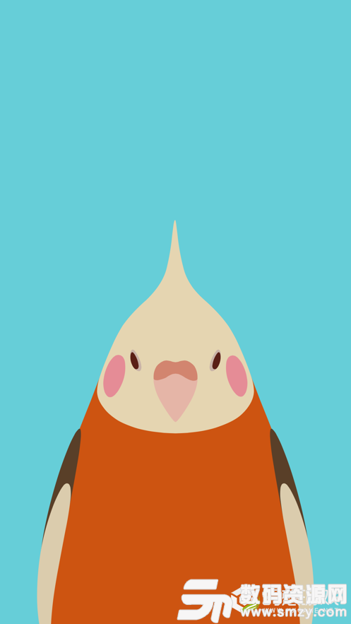 鸟类壁纸安卓版(主题美化) v1.8.1 手机版