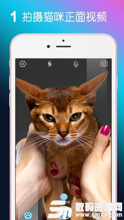MiaowTalk猫嘴秀安卓版(摄影摄像) v1.3.0 免费版