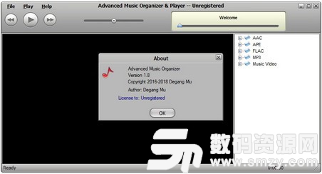 Advanced Music Organizer正式版