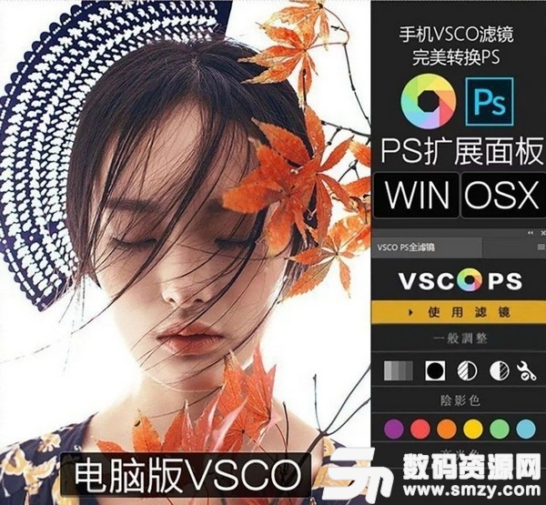 VSCO扩展面板PS插件专业版